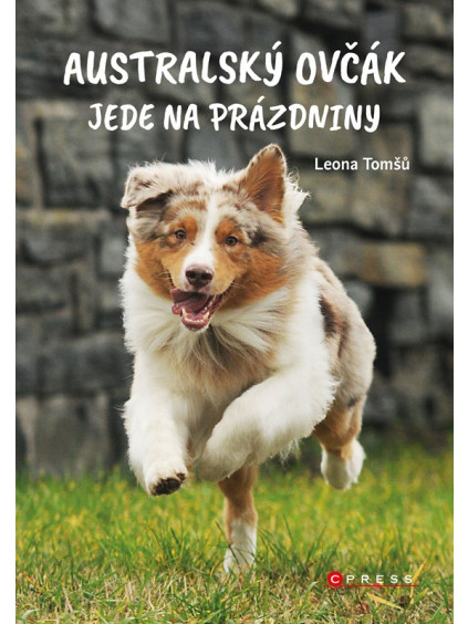 Australský ovčák jede na prázdniny