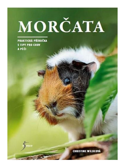 Morčata - Praktická příručka s tipy pro chov a péči