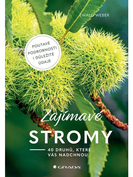 Zajímavé stromy - 40 druhů, které vás nadchnou