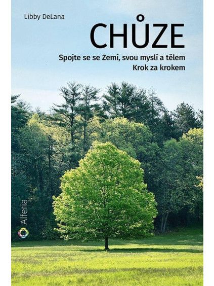 Chůze