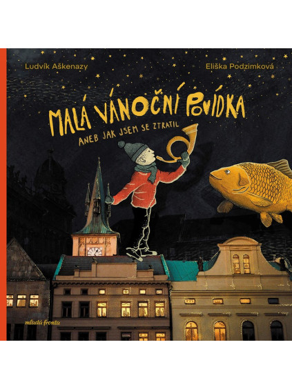 Malá vánoční povídka aneb Jak jsem se ztratil