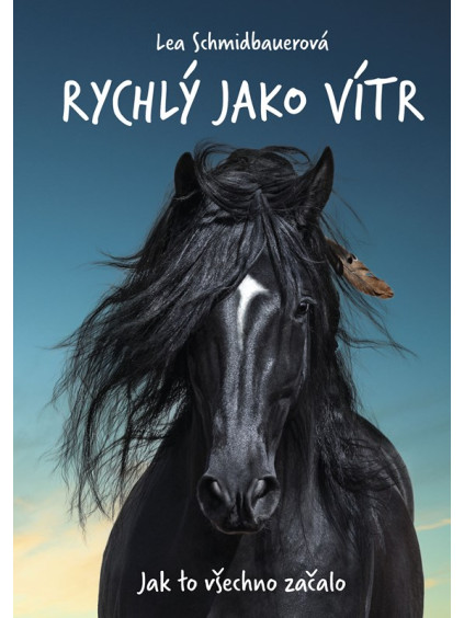 Rychlý jako vítr: Jak to všechno začalo