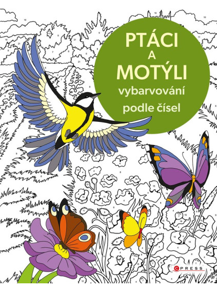 Vybarvování podle čísel: Ptáci a motýli