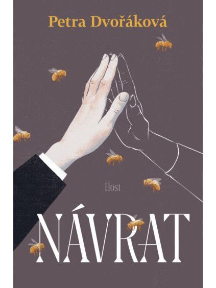 Návrat