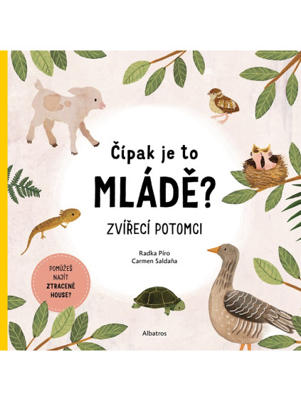 Čípak je to mládě?