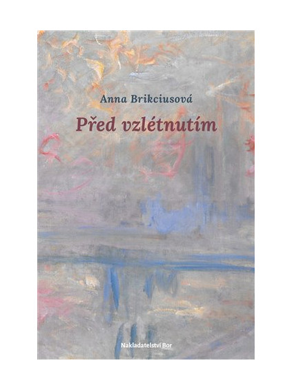 Před vzlétnutím