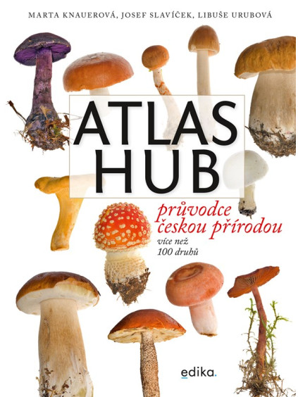Atlas hub