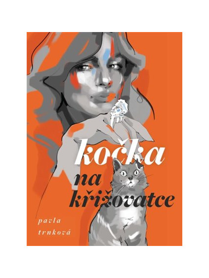 Kočka na křižovatce