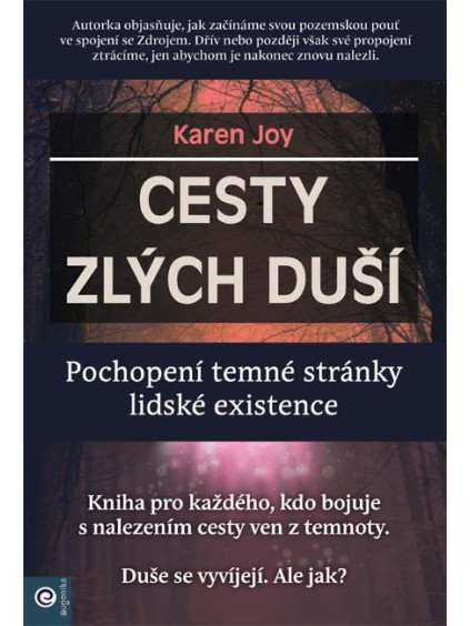 Cesty zlých duší - Pochopení temné stránky lidské existence