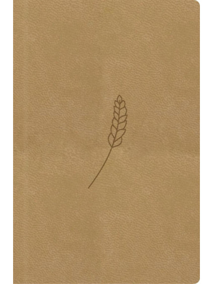 Bible, překlad 21. století (medová) - kapesní