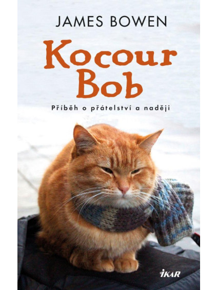 Kocour Bob