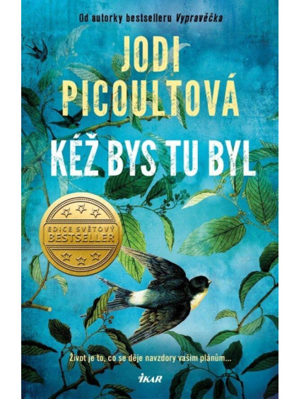 Kéž bys tu byl