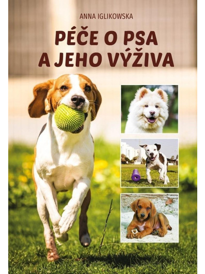 Péče o psa a jeho výživa