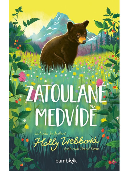 Zatoulané medvídě