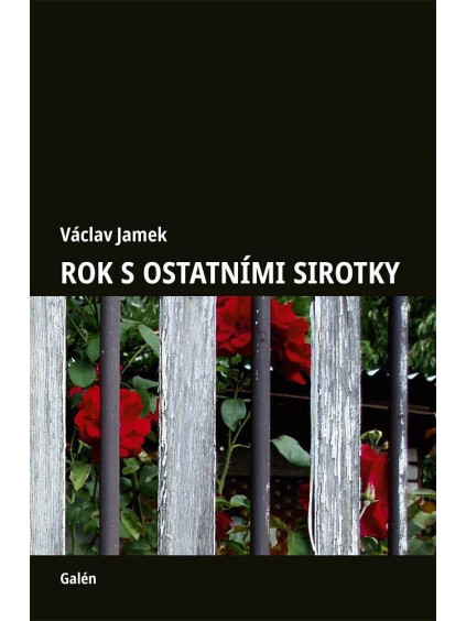 Rok s ostatními sirotky