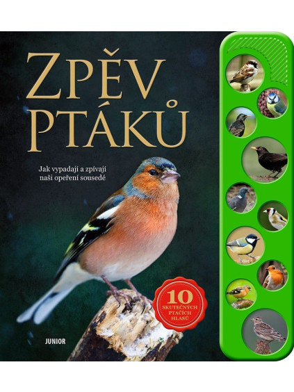 Zpěv ptáků - Jak vypadají a zpívají naši opeření sousedé