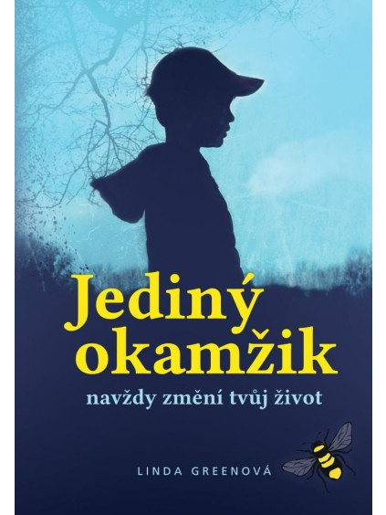 Jediný okamžik navždy změní tvůj život