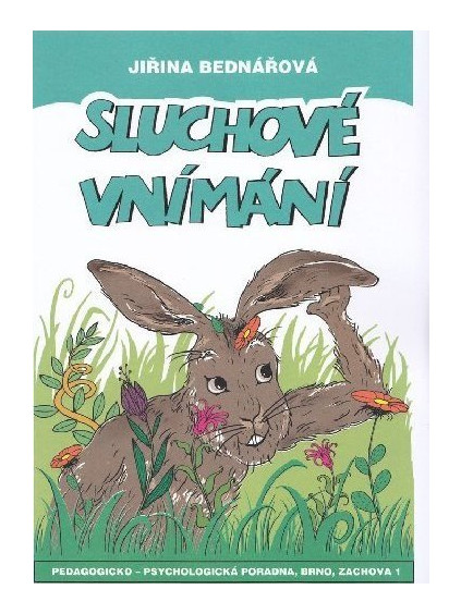 Sluchové vnímání
