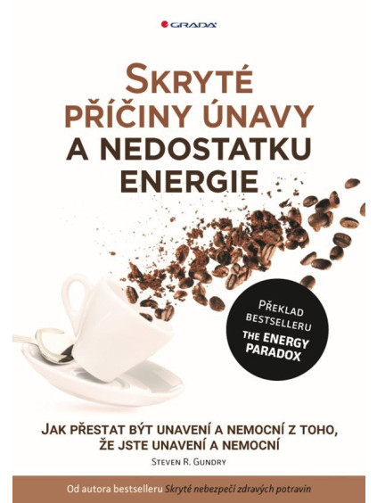Skryté příčiny únavy a nedostatku energie - Jak přestat být unavení a nemocní z toho, že jste unavení a nemocní
