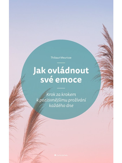 Jak ovládnout své emoce - Krok za krokem k pozitivnějšímu prožívání každého dne