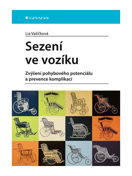 Sezení ve vozíku - Zvýšení pohybového potenciálu a prevence komplikací