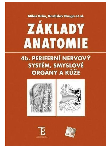 Základy anatomie 4b - Periferní nervový systém, smyslové orgány a kůže