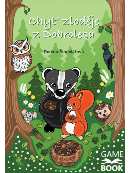 Chyť zloděje z Dobrolesa (gamebook)