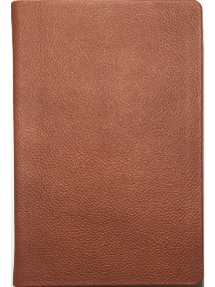 Bible21 pravá kůže hnědá s etuí