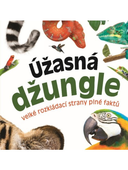 Úžasná džungle - Velké rozkládací strany plné faktů