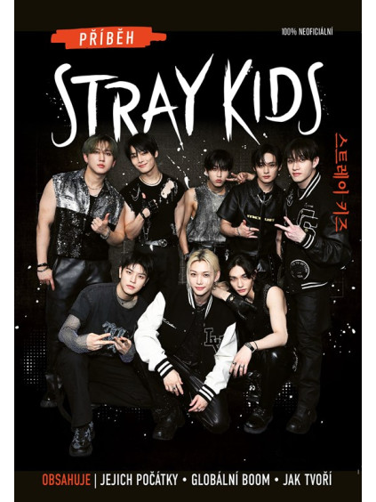 Příběh Stray Kids