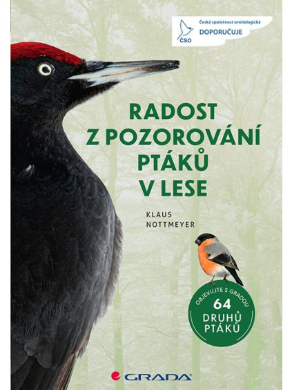 Radost z pozorování ptáků v lese