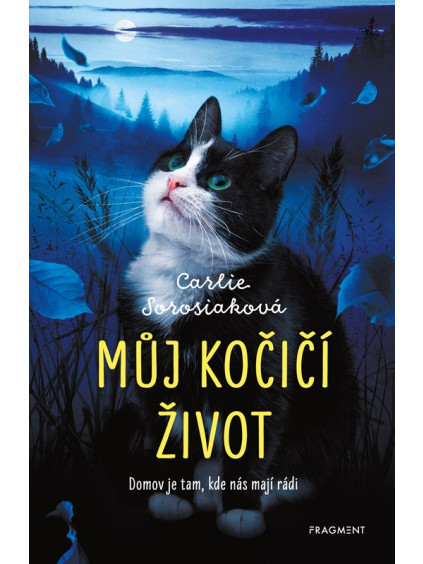 Můj kočičí život