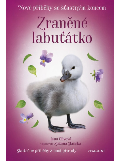 Nové příběhy se šťastným koncem – Zraněné labuťátko