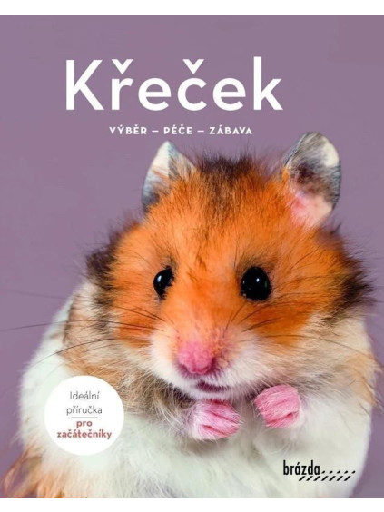Křeček - Výběr, péče, zábava