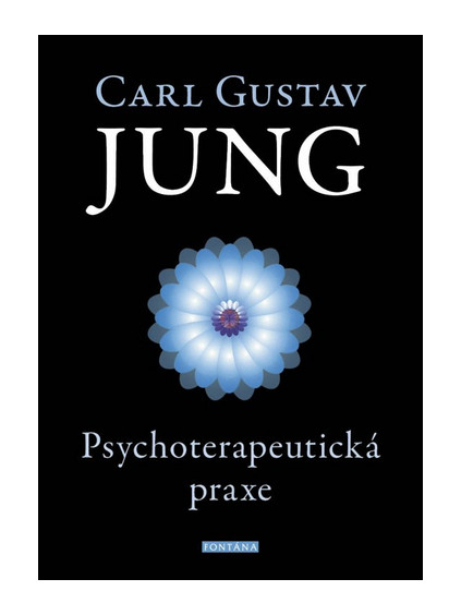 Psychoterapeutická praxe