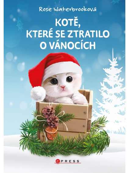 Kotě, které se ztratilo o Vánocích