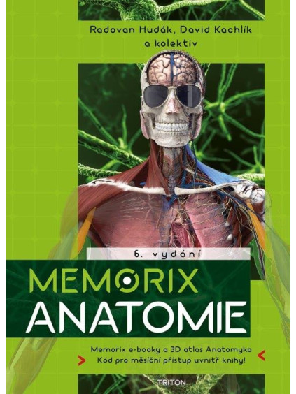 Memorix anatomie