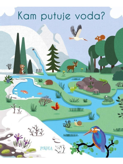Kam putuje voda?