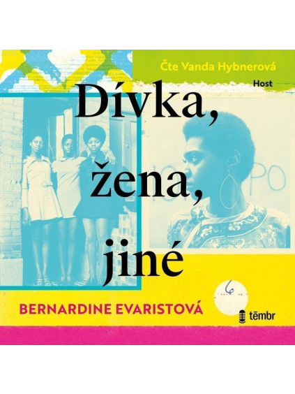 Dívka, žena, jiné - audioknihovna