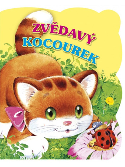 Zvědavý kocourek