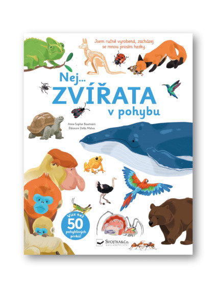 Nej... ZVÍŘATA v pohybu