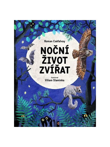 Noční život zvířat