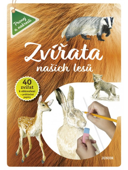 Zvířata našich lesů