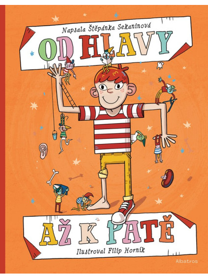 Od hlavy až k patě