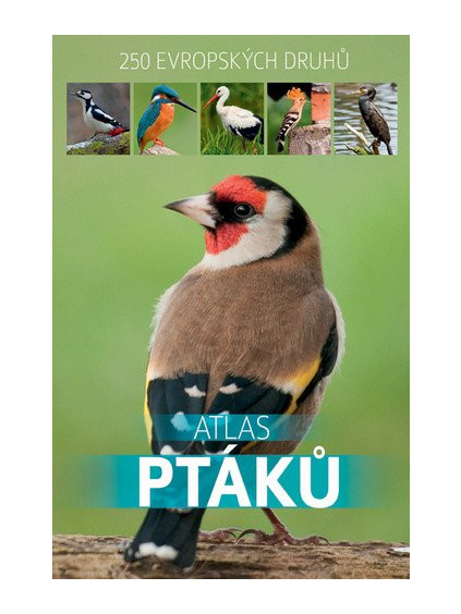 Atlas ptáků - 250 evropských druhů