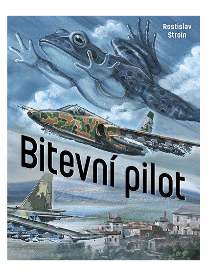 Bitevní pilot