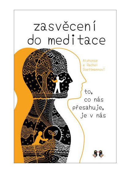 Zasvěcení do meditace