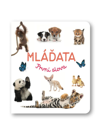 Mláďata První slova
