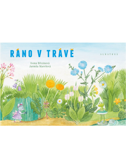 Ráno v trávě