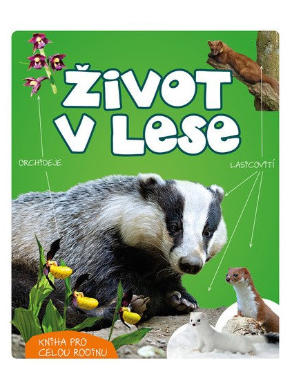 Život v lese